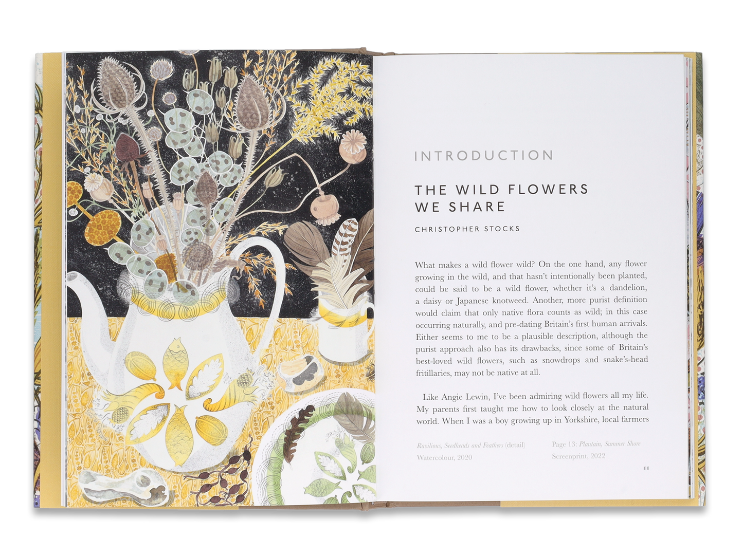 The Book of Wild Flowers by Angie Lewin & Christopher Stocks