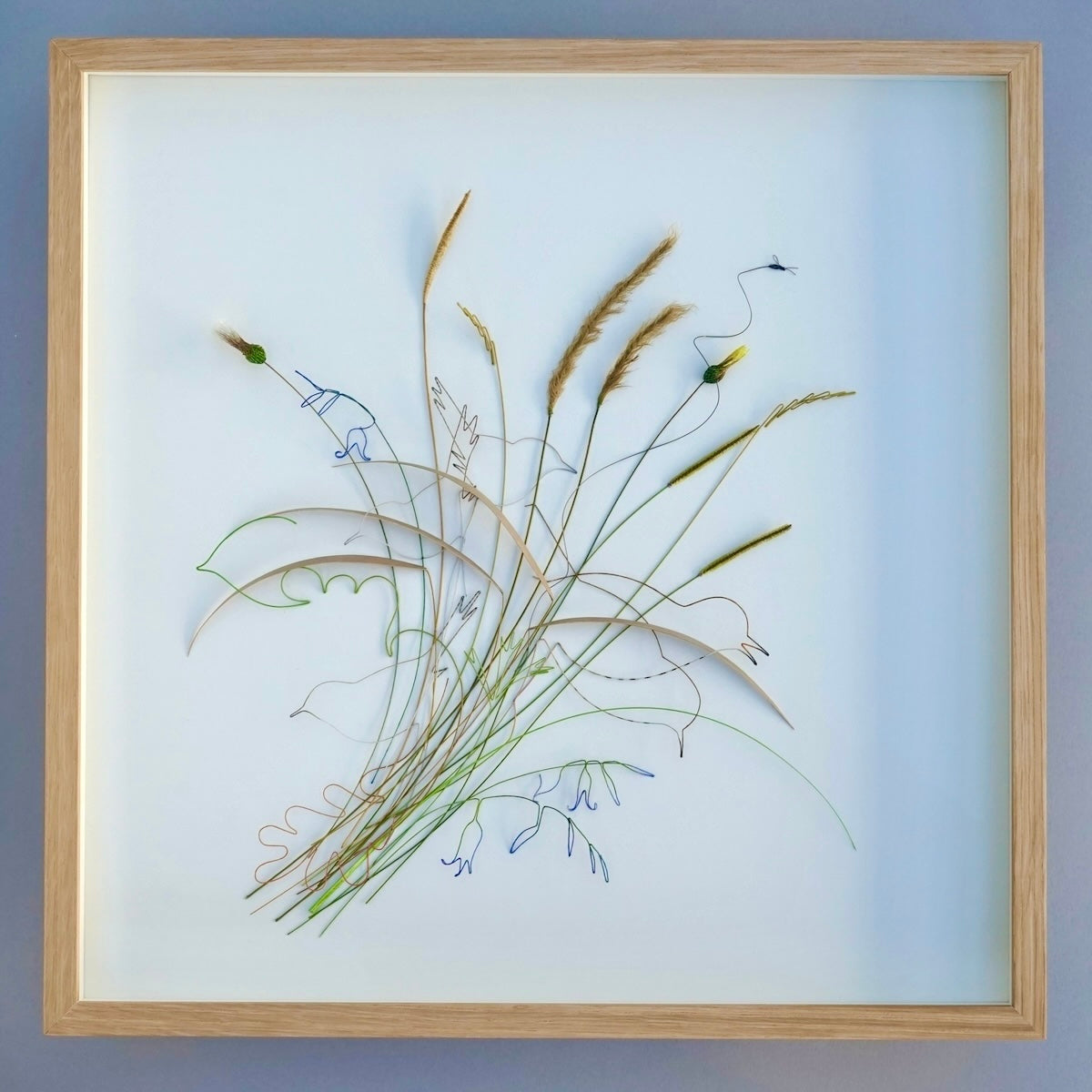 Woodland Habitat - Bridget Bailey