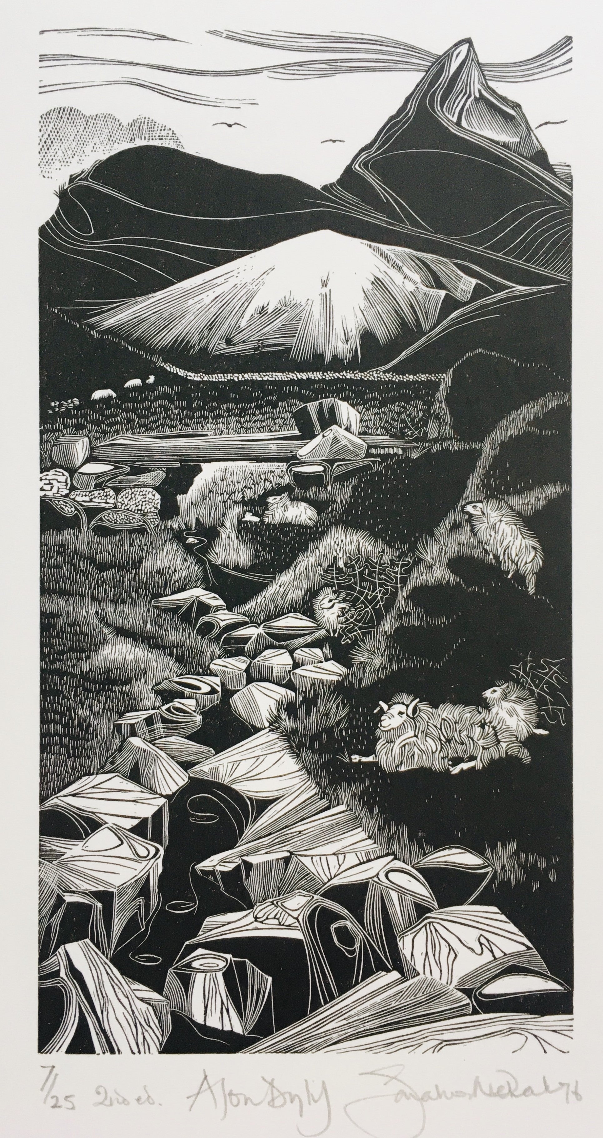 Afon Dylif - Sarah van Niekerk