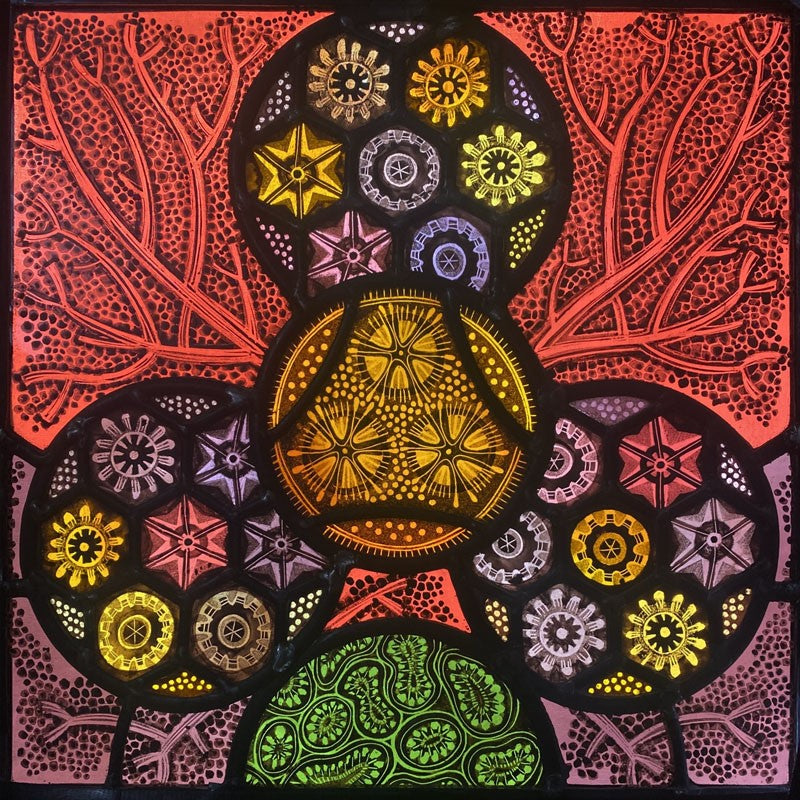 Coral Garden - Alisoun Howie