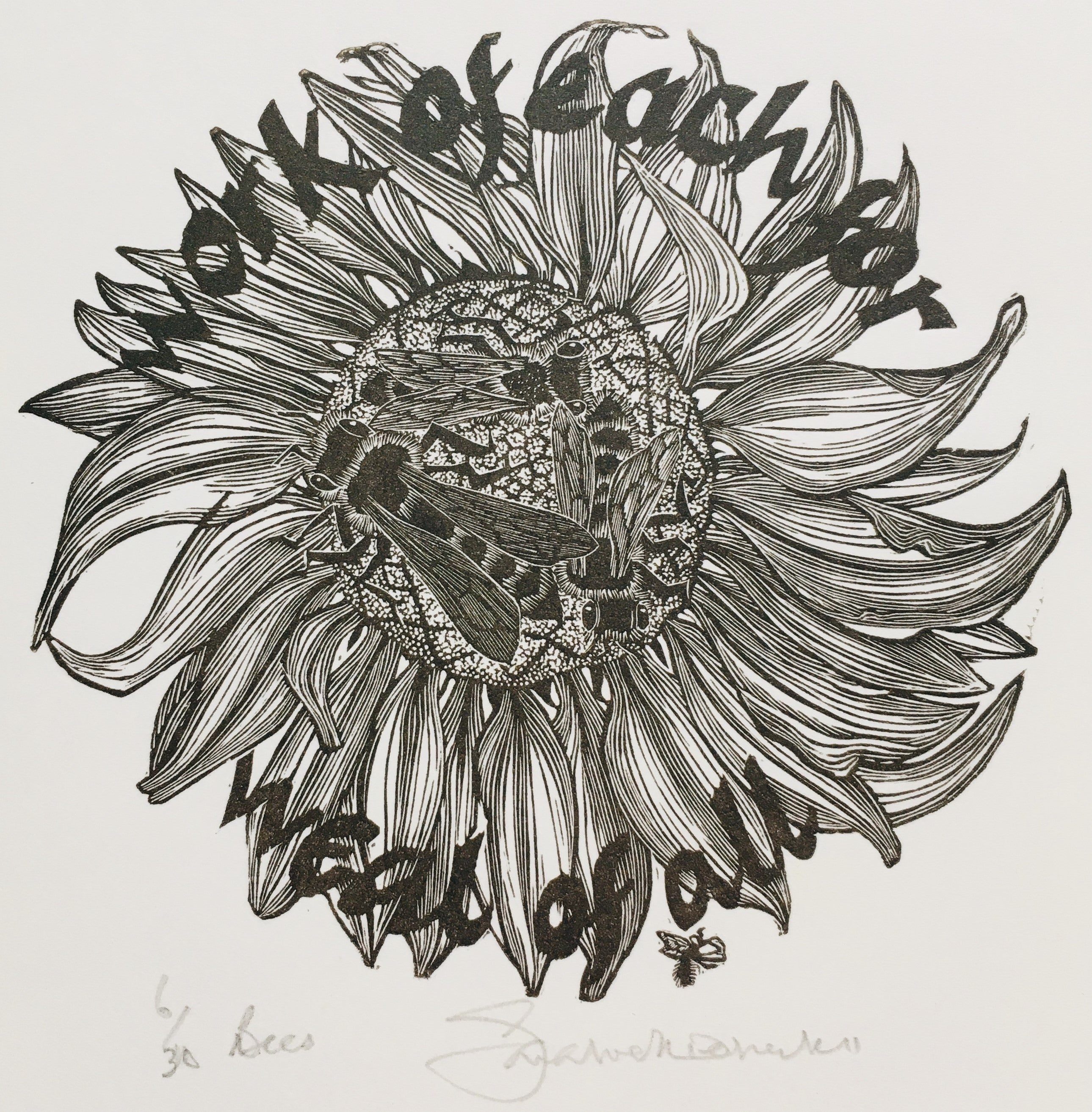 Bees - Sarah van Niekerk