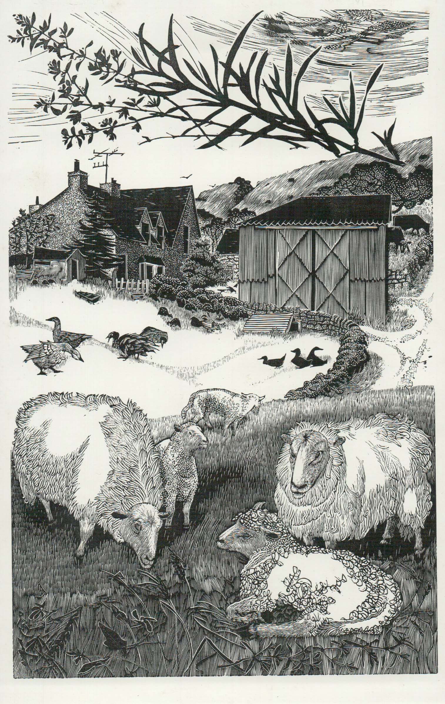 Carne - Sarah van Niekerk