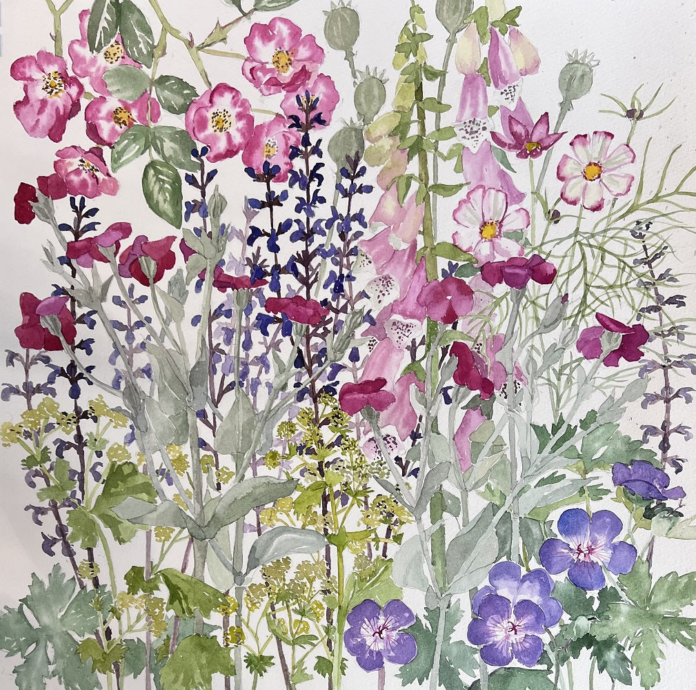 Cosmos & Lychnis - Celia Lewis