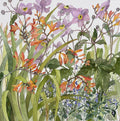 Montbretia & Anemonies - Celia Lewis