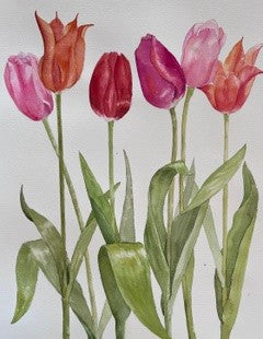Six Tulips - Celia Lewis
