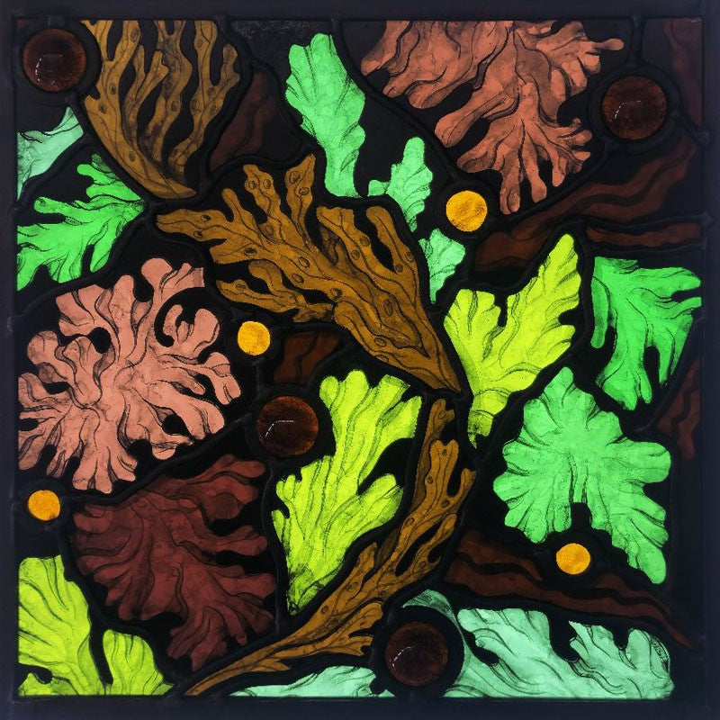 Underwater Acanthus - Claire Orme