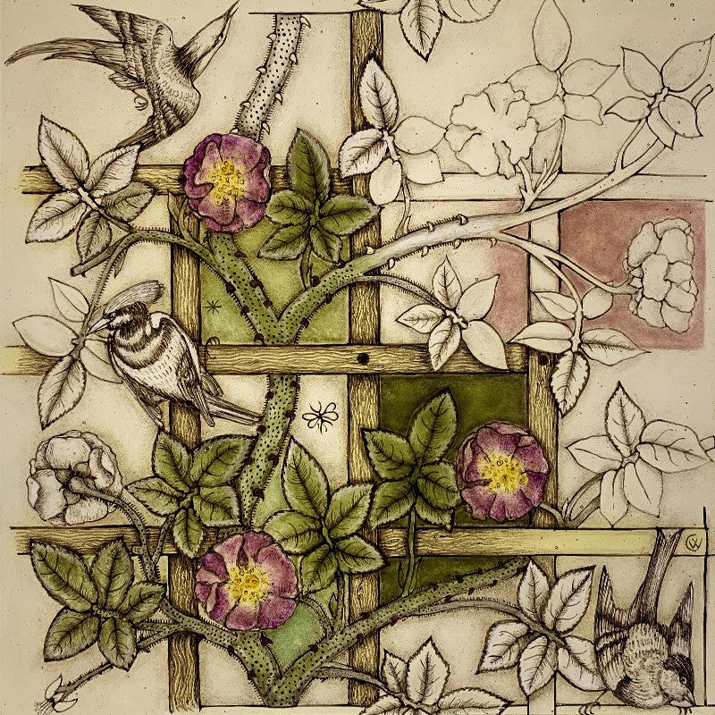 Trellis in Glass - Claire Williamson