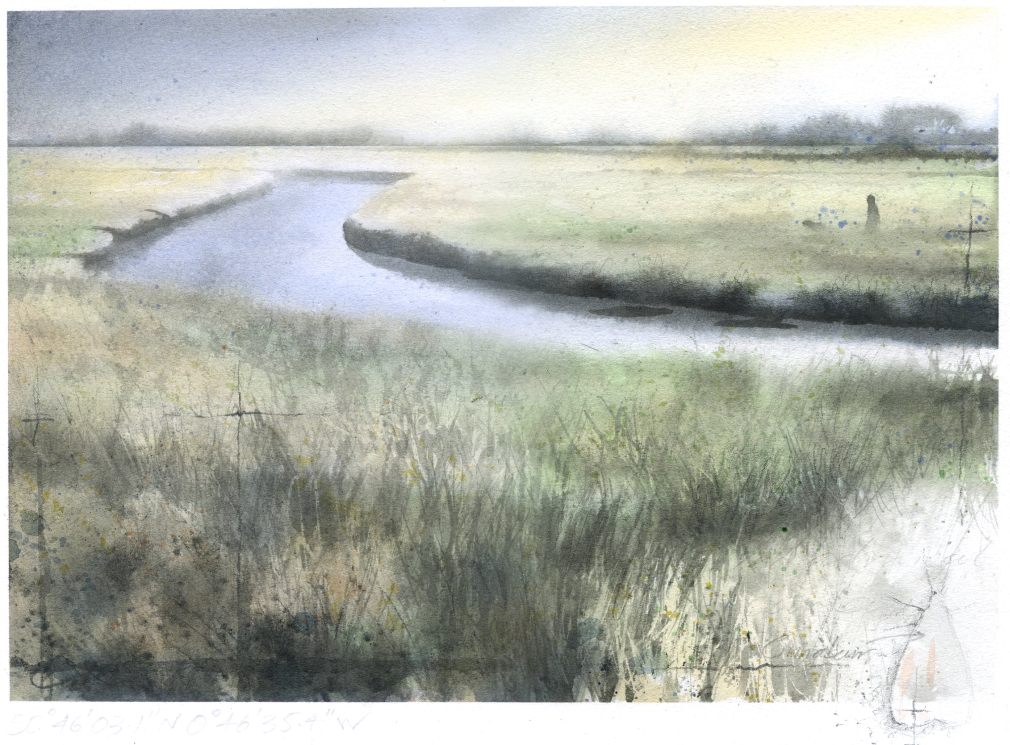 Walking the Marshes - Gary Cook