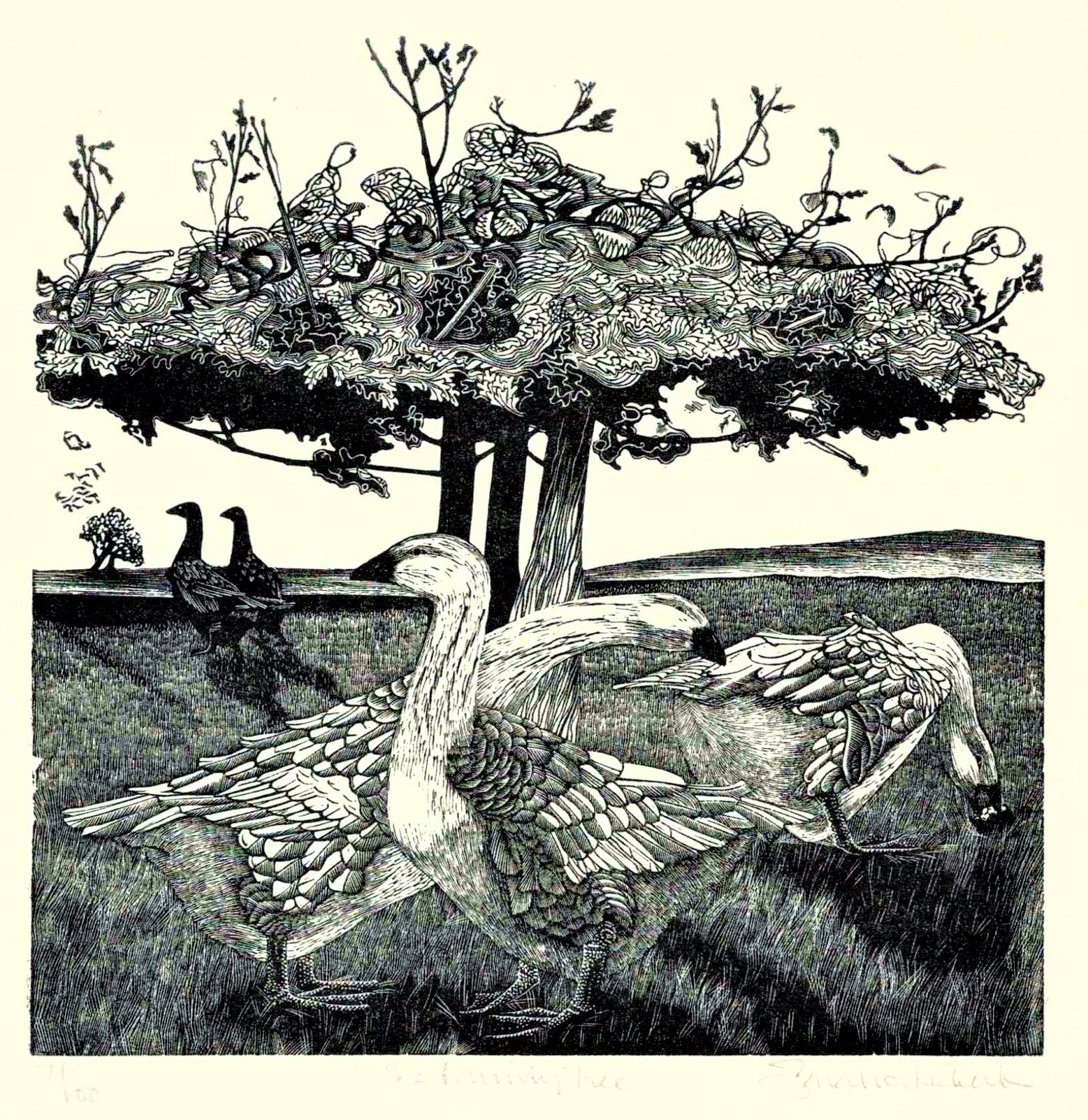 The Family Tree - Sarah van Niekerk