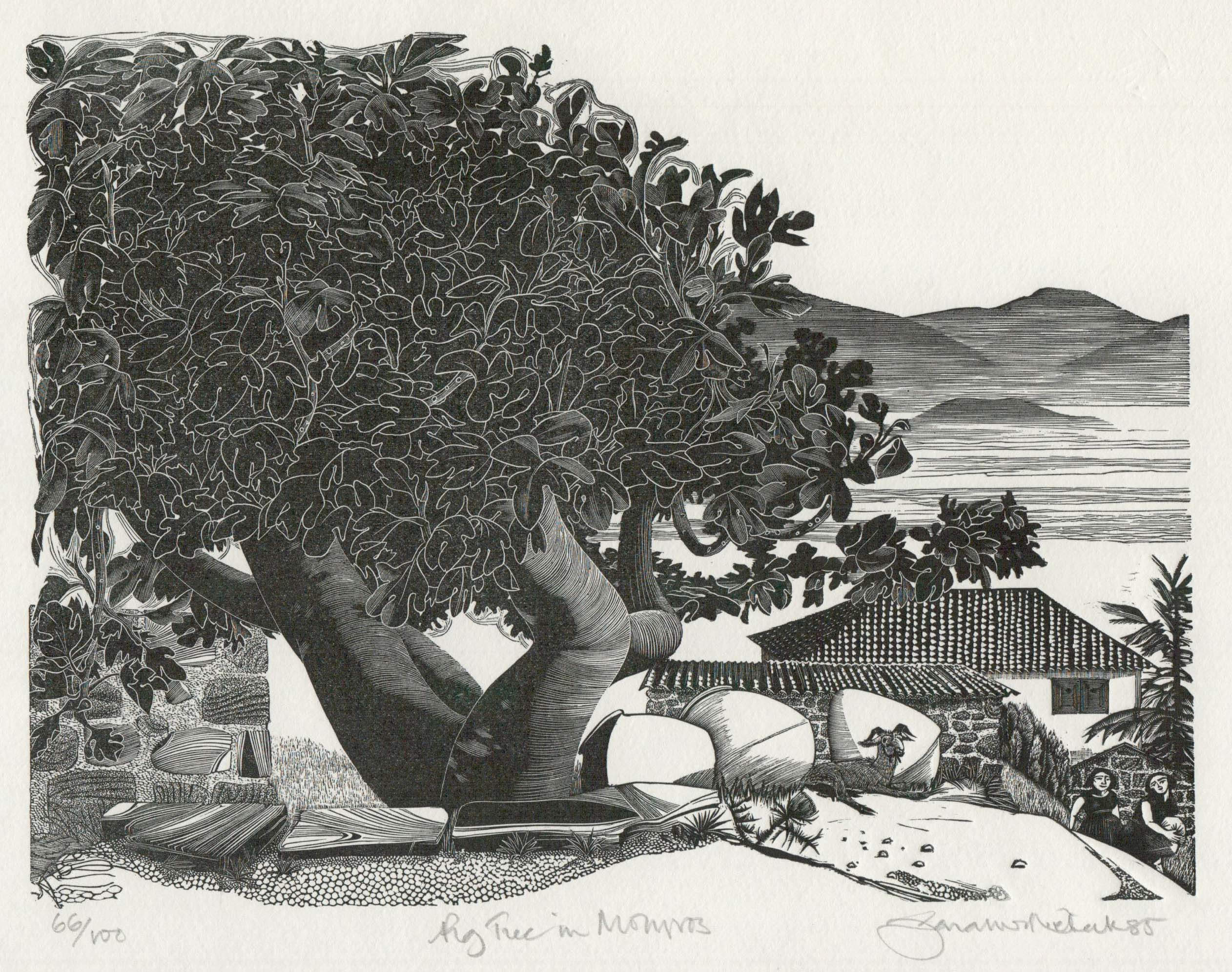 Fig Tree in Molyvos - Sarah van Nierkerk