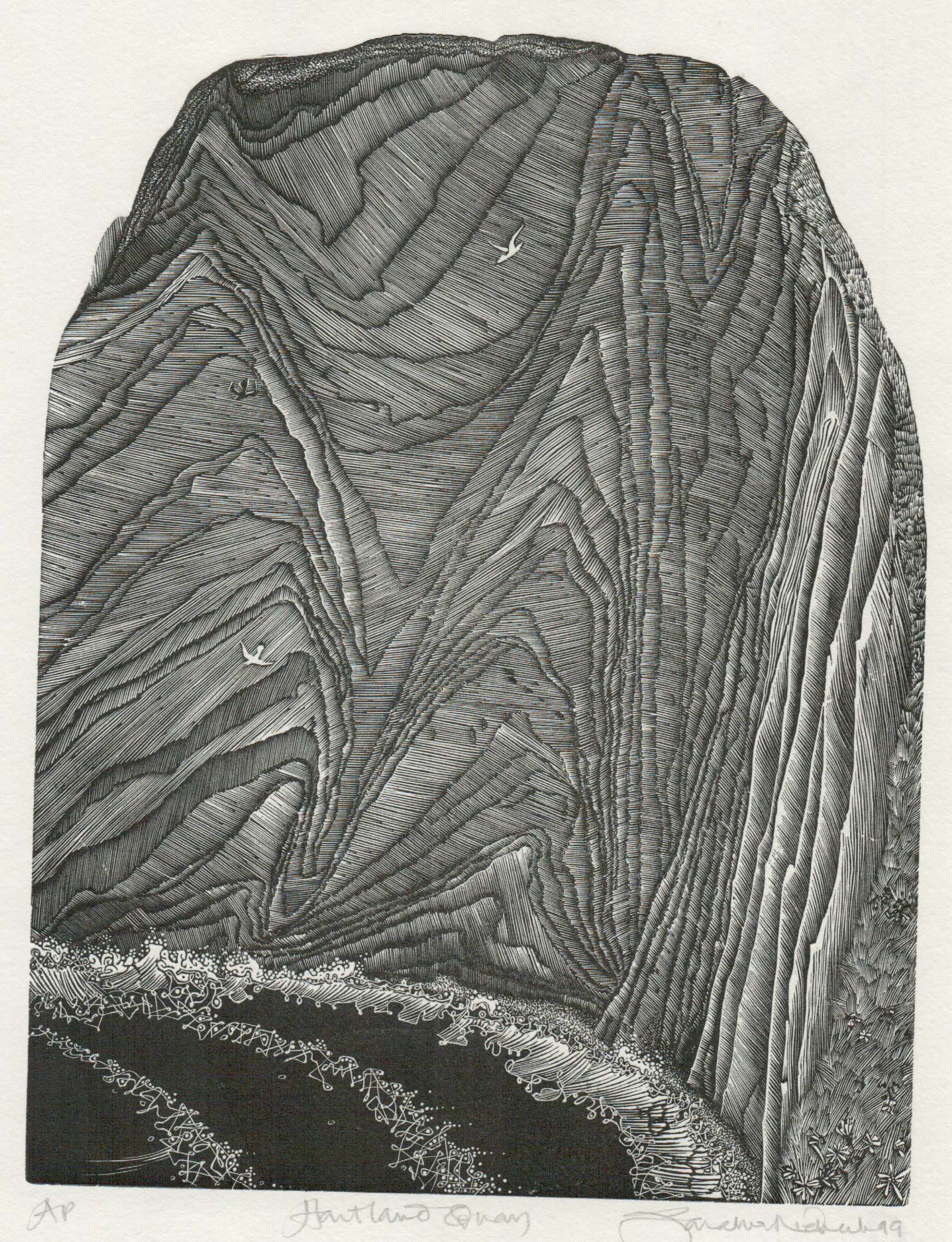 Hartland Quay - Sarah van Niekerk