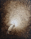 Vole - Ibby Lanfear