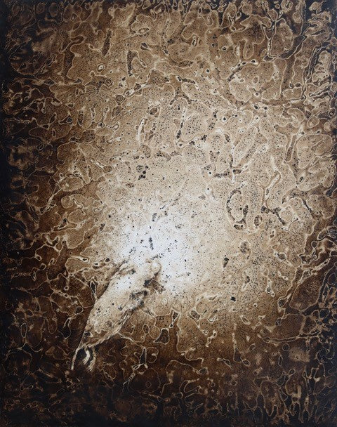 Vole - Ibby Lanfear