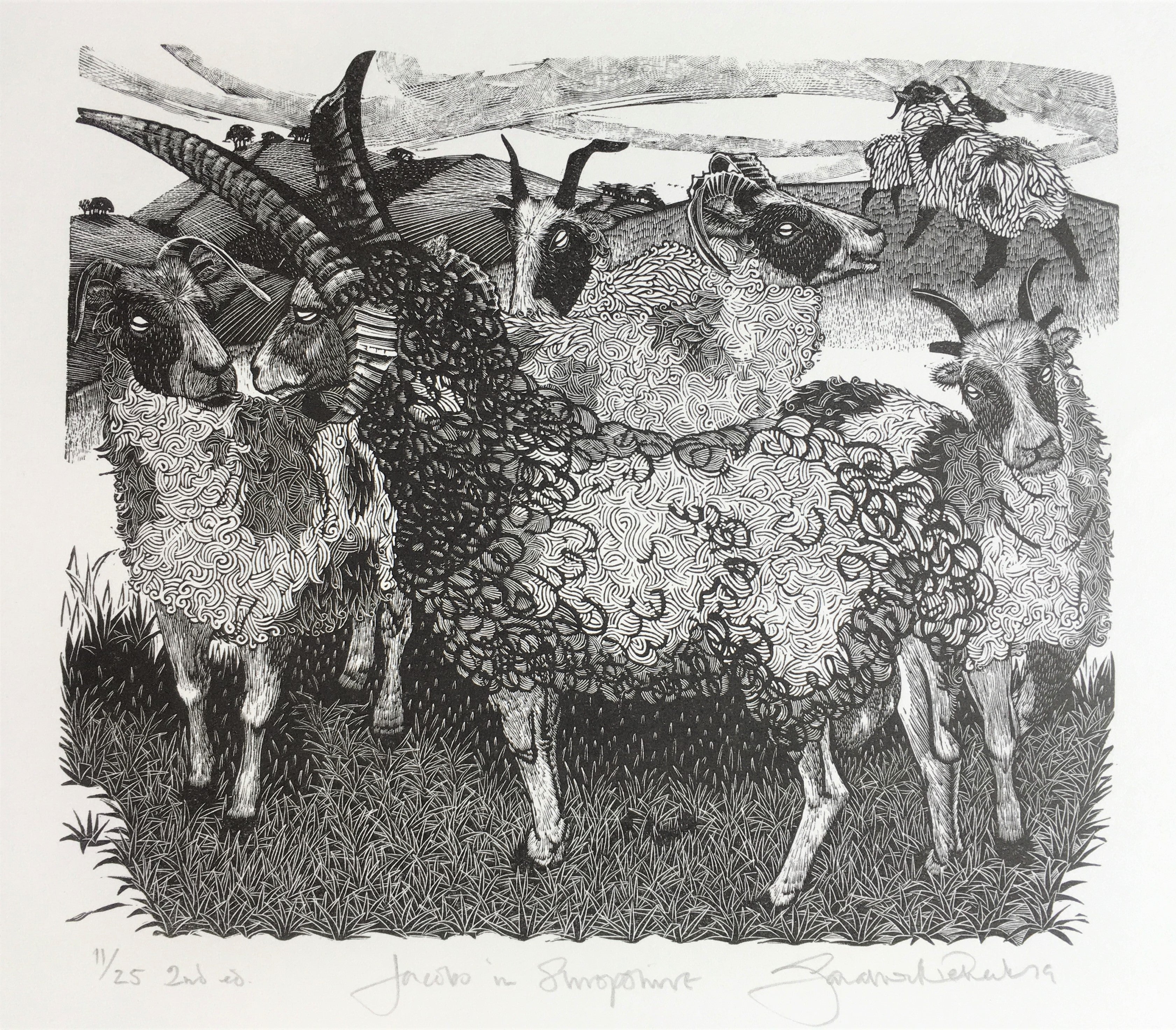 Jacobs in Shropshire - Sarah van Niekerk