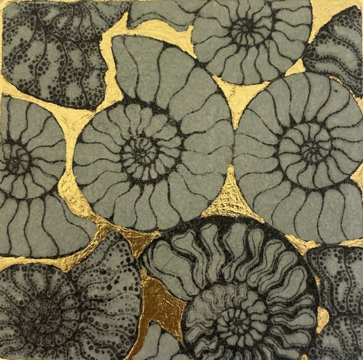 Ammonite World - Julia Timmins
