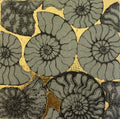 Ammonite World - Julia Timmins (unframed)