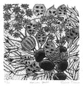 Autumn Seeds - Julia Timmins (unframed)
