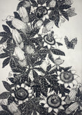 Hope and Passion - Julia Timmins (unframed)