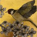 Joy of Spring - Julia Timmins
