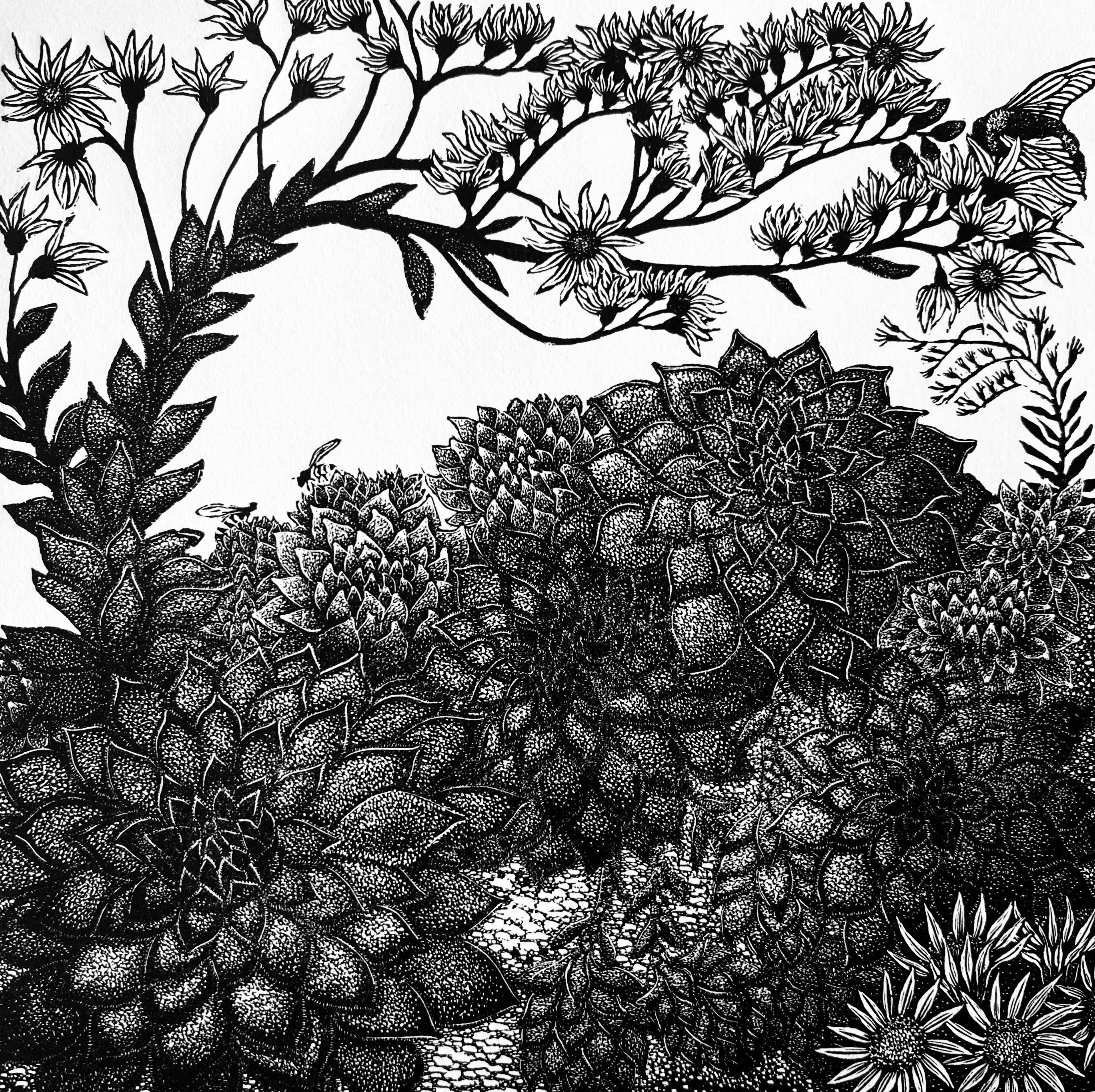 Live Forever - Julia Timmins