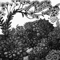 Live Forever - Julia Timmins (unframed)