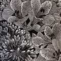 Love and Friendship - Julia Timmins (unframed)