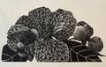 Orchard Song - Julia Timmins