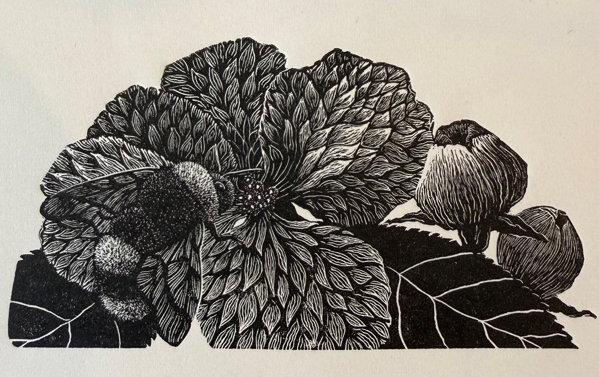 Orchard Song - Julia Timmins
