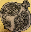 Pomegranate - Julia Timmins (unframed)