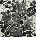 The Aquarium - Julia Timmins