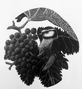 The Connoisseur - Julia Timmins