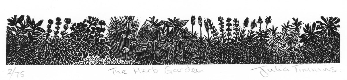 The Herb Garden - Julia Timmins
