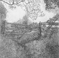 Long-Forgotten Way - Julia Timmins