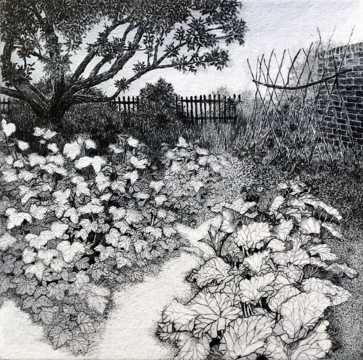 The Well-trodden Path - Julia Timmins
