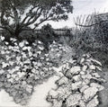 The Well-trodden Path - Julia Timmins (unframed)