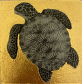 Turtle - Julia Timmins