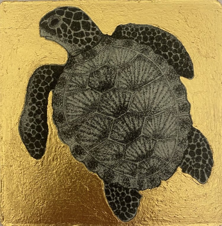 Turtle - Julia Timmins