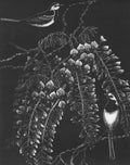 Wagtails & Wisteria - Julia Timmins