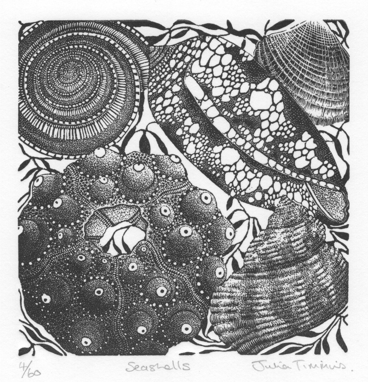 Seashells - Julia Timmins (unframed)