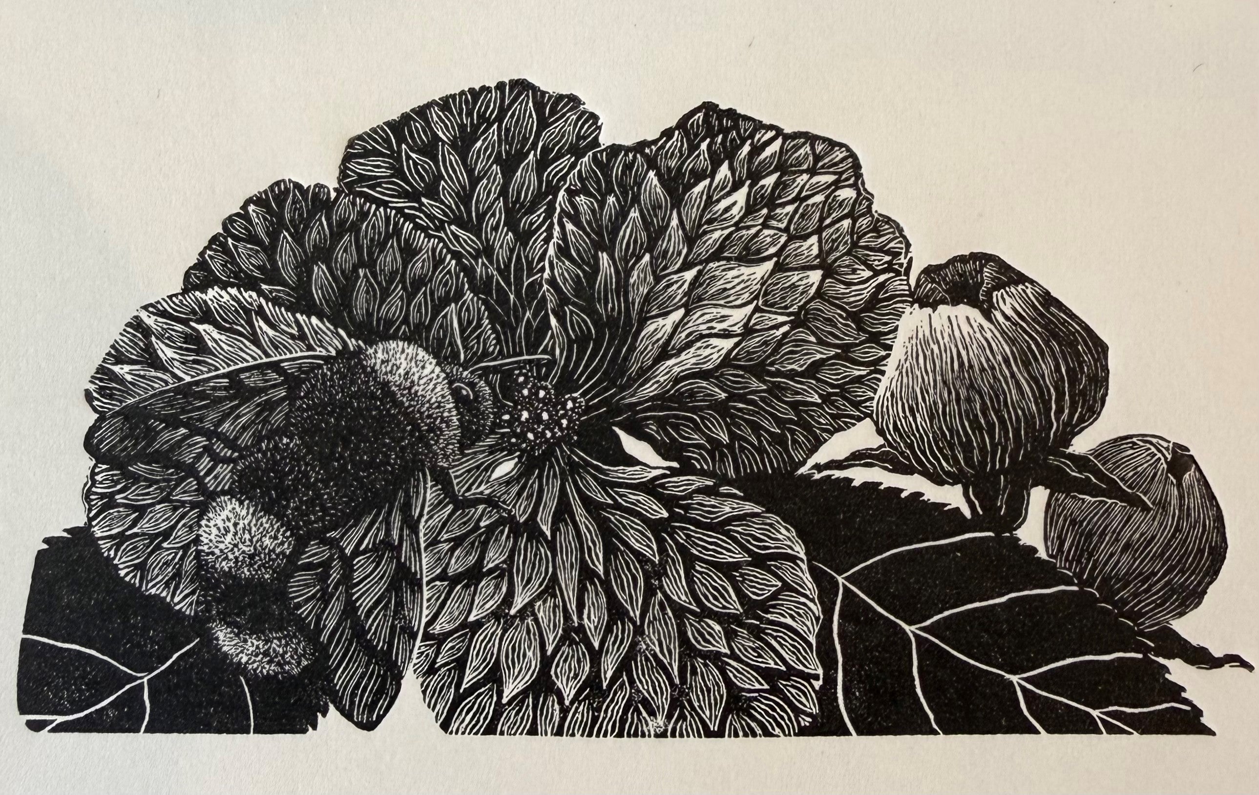 Orchard Song - Julia Timmins (unframed)
