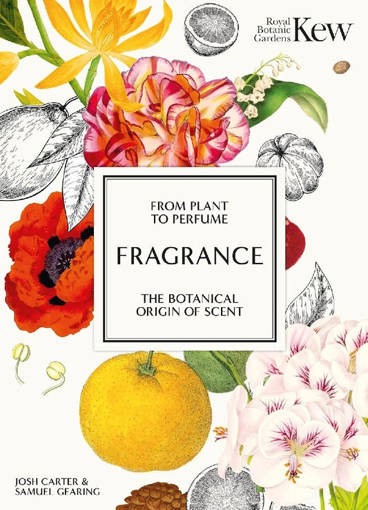 Fragrance: From Plant to Perfume
