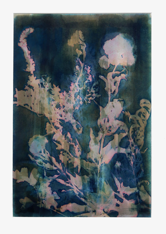 Hazy Shade of Winter - Liz Mundle