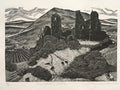 Montgomery Castle - Sarah Van Niekerk
