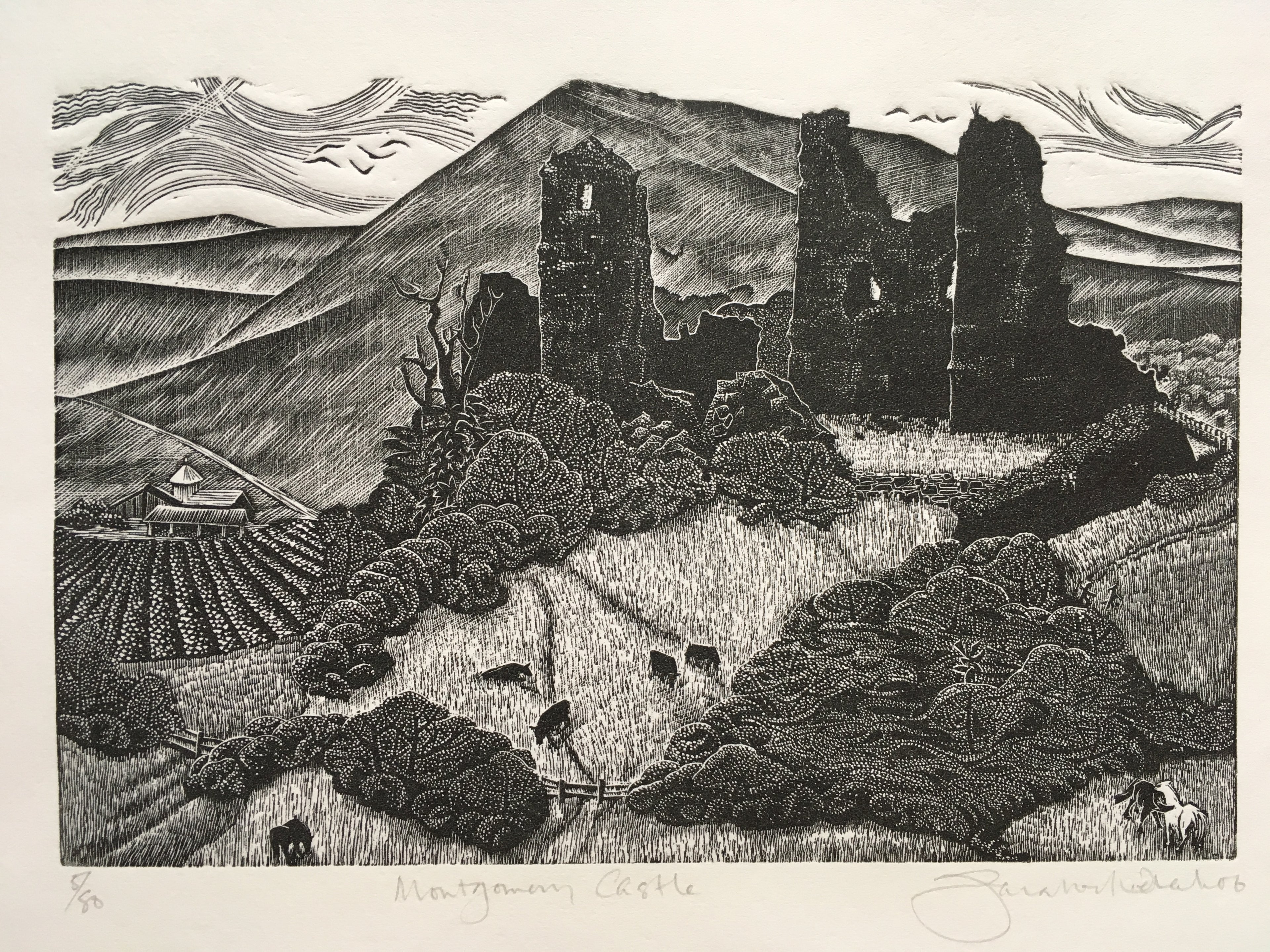 Montgomery Castle - Sarah van Niekerk