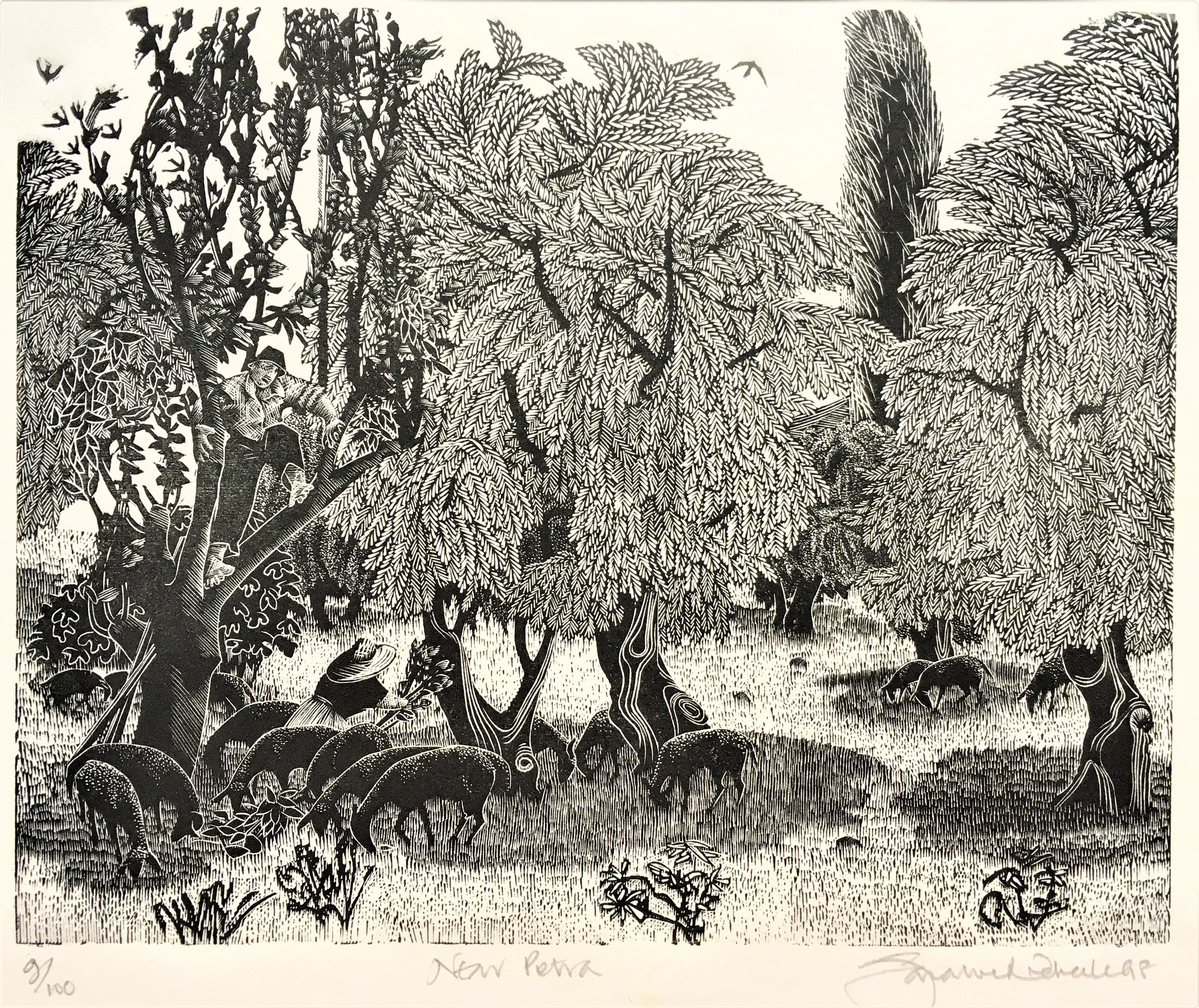 Near Petra - Sarah van Niekerk