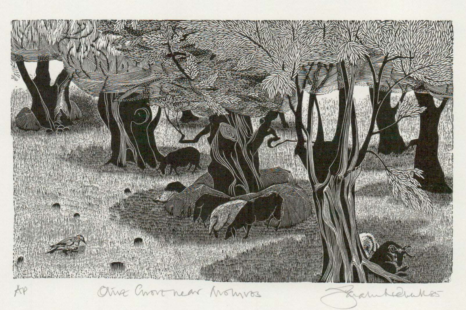 Olive Grove near Molyvos - Sarah van Nieker