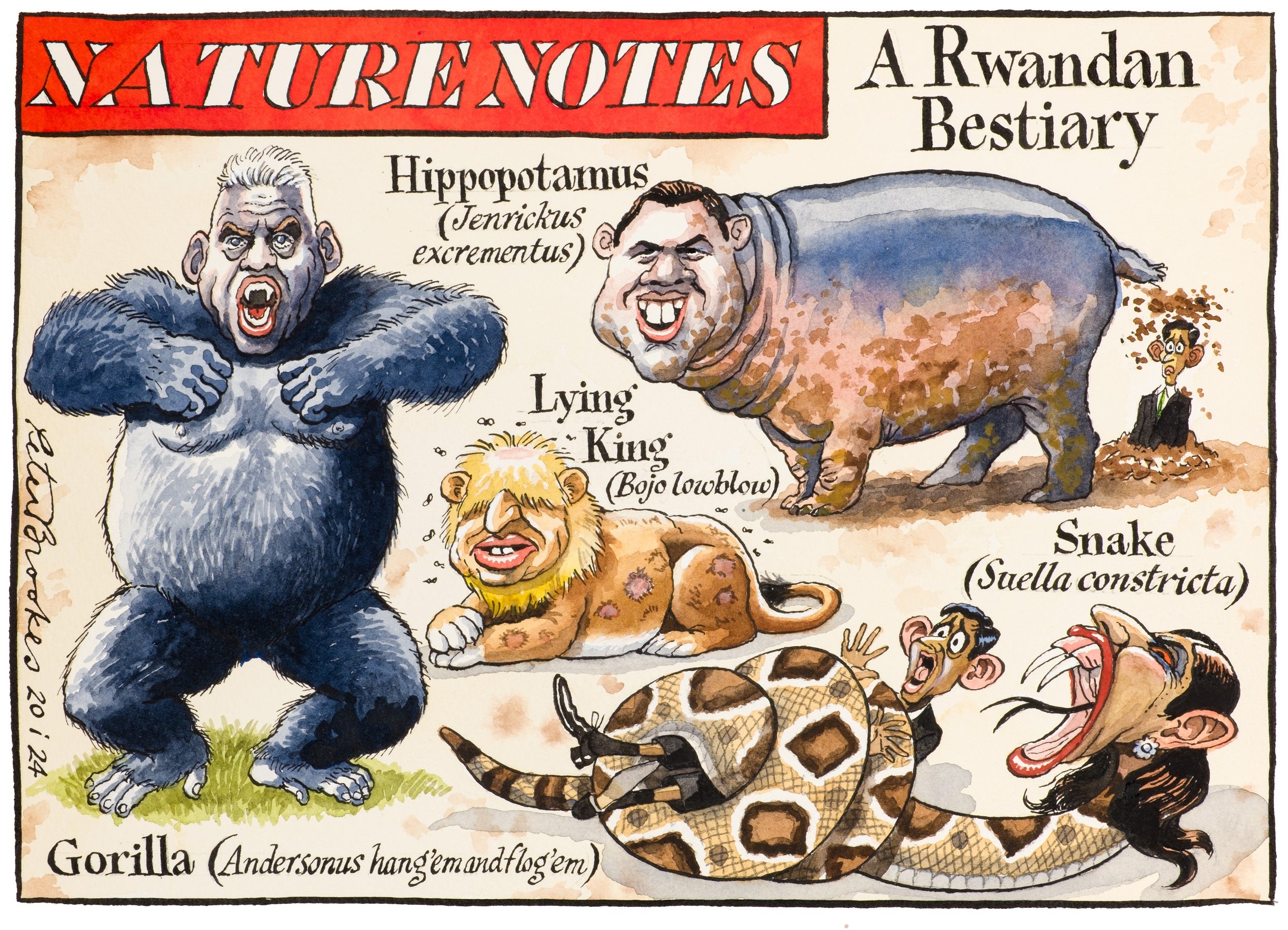 Nature Notes: A Rwandan Bestiary