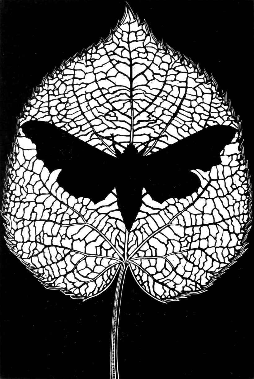 Memento Mori - Rebecca Coleman