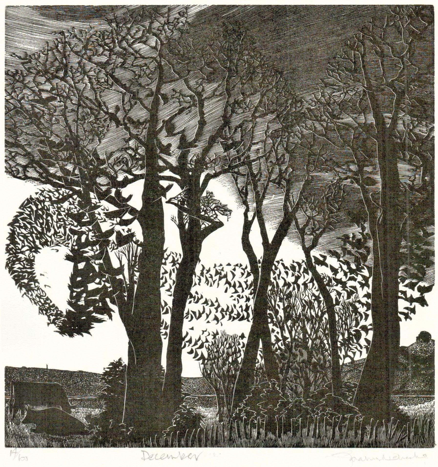 Rooks in the evening, December - Sarah van Niekerk