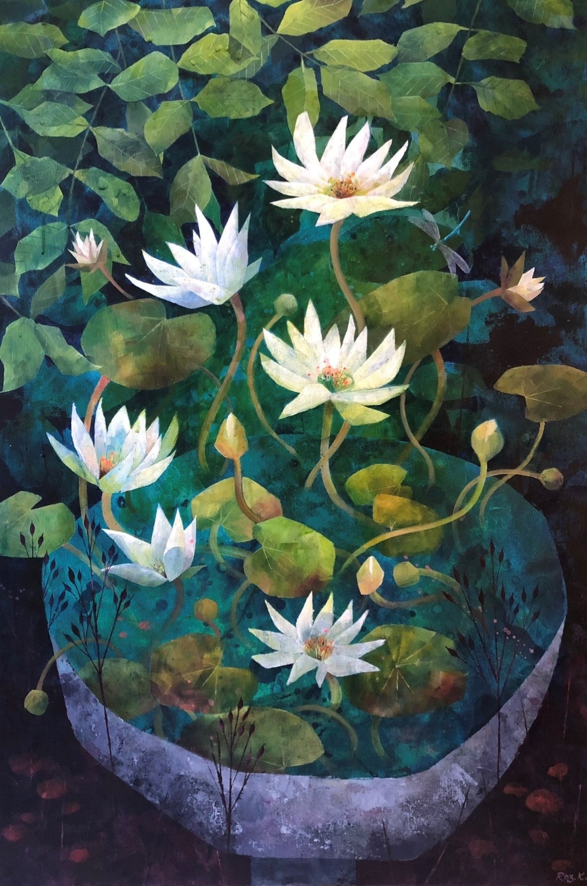 Lily Pond - Rosalinda Kightley